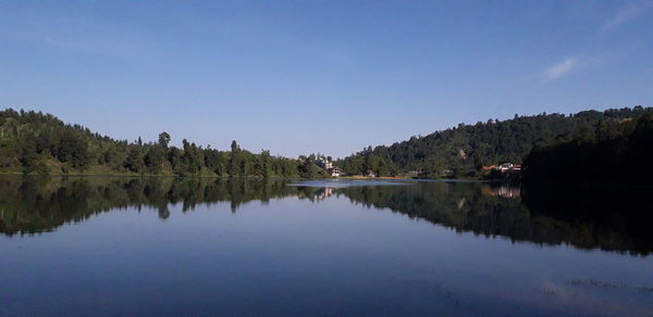 Scenic view of lake by trees against clear sky