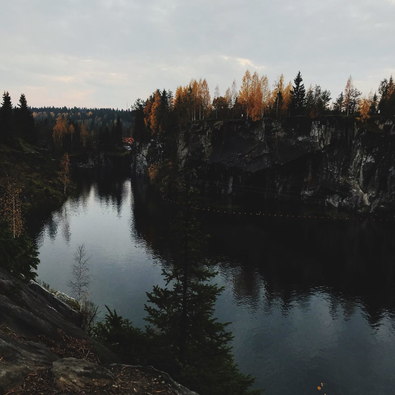 TREES BY LAKE AGAINST SKY