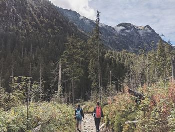 Rear view of people walking on mountain against trees