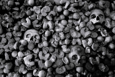 High angle view of human skulls and stones