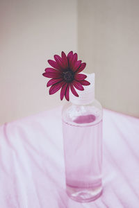 Close-up of drink on table