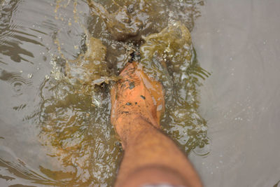 Low section of man legs in dirty water