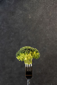 Broccoli on a fork on a dark background, healthy food concept