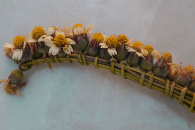 High angle view of flowering plants on table