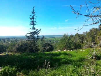 Scenic view of landscape against cloudy sky