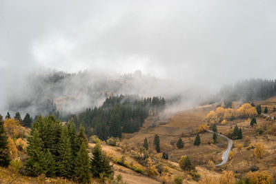 Foggy autumn mountain landscape with curvy road