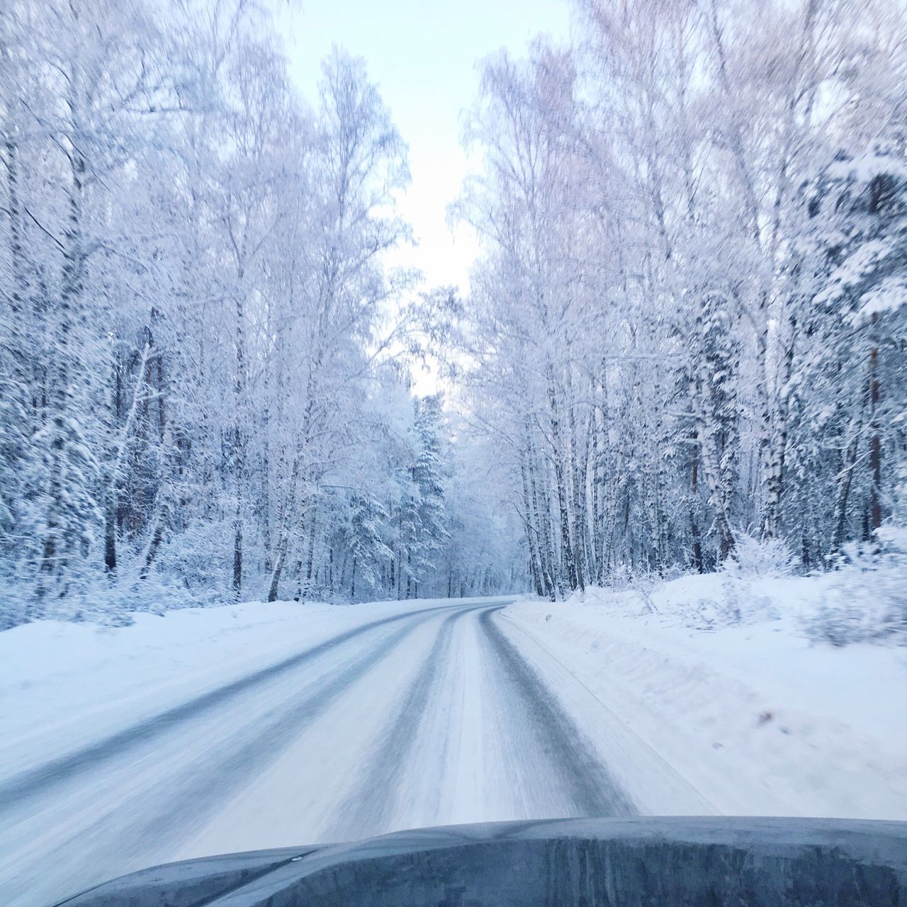 cold temperature, snow, winter, tree, weather, nature, day, covering, frozen, outdoors, the way forward, no people, tranquility, scenics, snowing, beauty in nature, road, tire track, sky