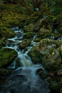 O'sullivans cascade in killarney national park, ireland. 