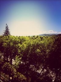 clear sky