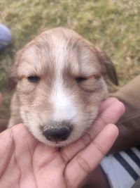 Close-up of person holding hand