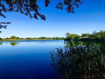 Scenic view of lake against clear blue sky