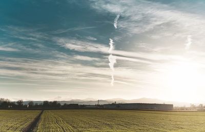 Scenic view of agricultural field against sky