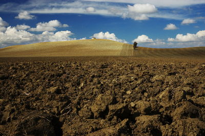 Scenic view of agricultural field against sky