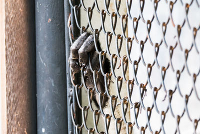 Full frame shot of fence