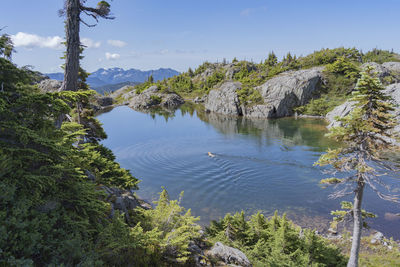 Scenic view of lake by trees against sky