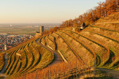 Scenic view of agricultural field against sky