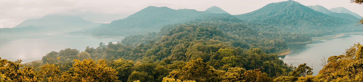 Scenic view of trees and mountains against sky