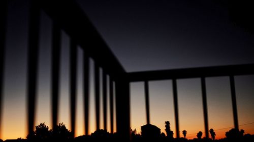 Low angle view of silhouette trees against clear sky at sunset