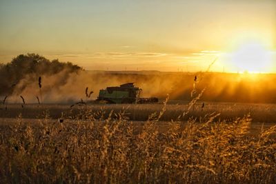 Scenic view of agricultural field against sky during sunset