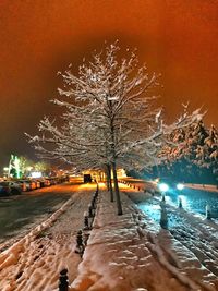 Illuminated tree in city during winter