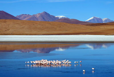 Scenic view of lake by mountains against sky