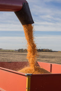 Combine unloading corn into a wagon.