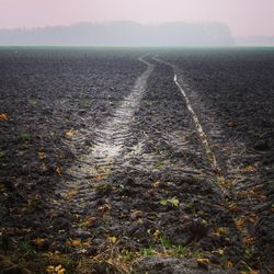 Surface level of country road