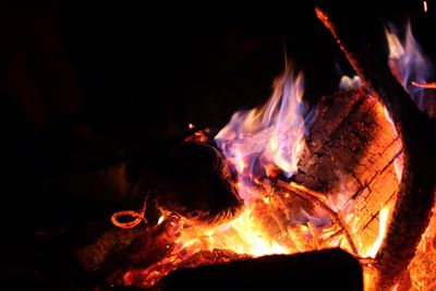 Close-up of bonfire at night