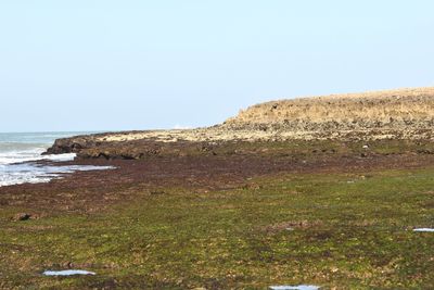 Scenic view of sea against clear sky