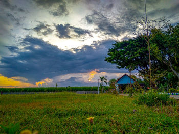 Scenic view of field against sky