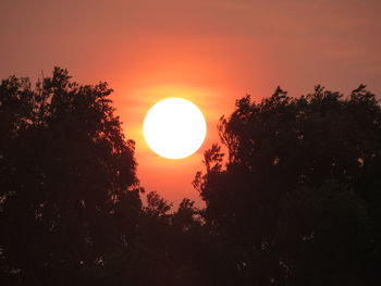 Low angle view of silhouette trees against sky during sunset