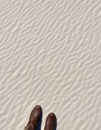 Low section of person standing on sand