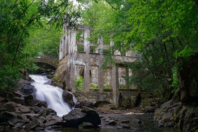 Scenic view of waterfall in forest
