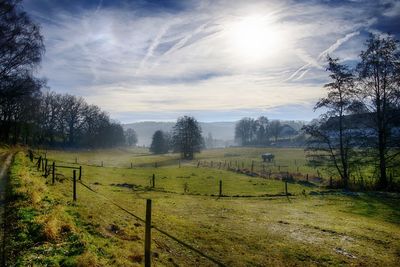 Scenic view of field against sky