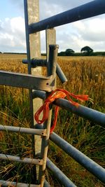 Close-up of metal fence on field against sky