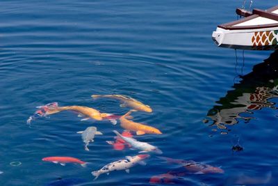 View of water in water