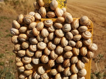 Close-up of stack of firewood