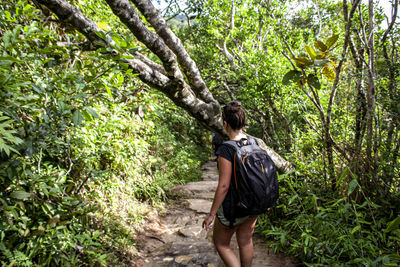Rear view of young woman standing on land