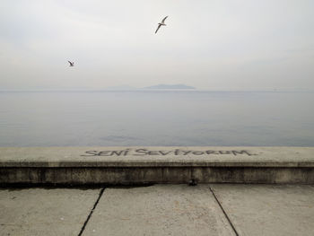 Desolate waterfront walkway with birds flying