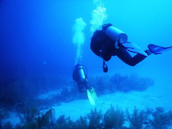 People swimming in sea