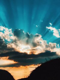 Low angle view of silhouette trees against sky during sunset