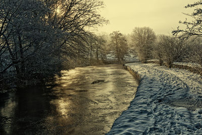 Snow covered land by bare trees against sky