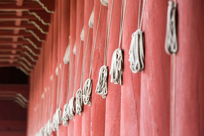 Close-up of clothes hanging on wood