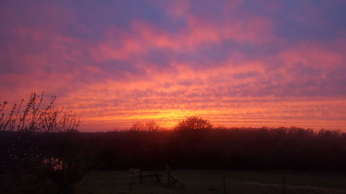 Silhouette trees on field against orange sky