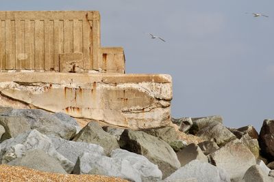 Low angle view of seagull on rock against sky