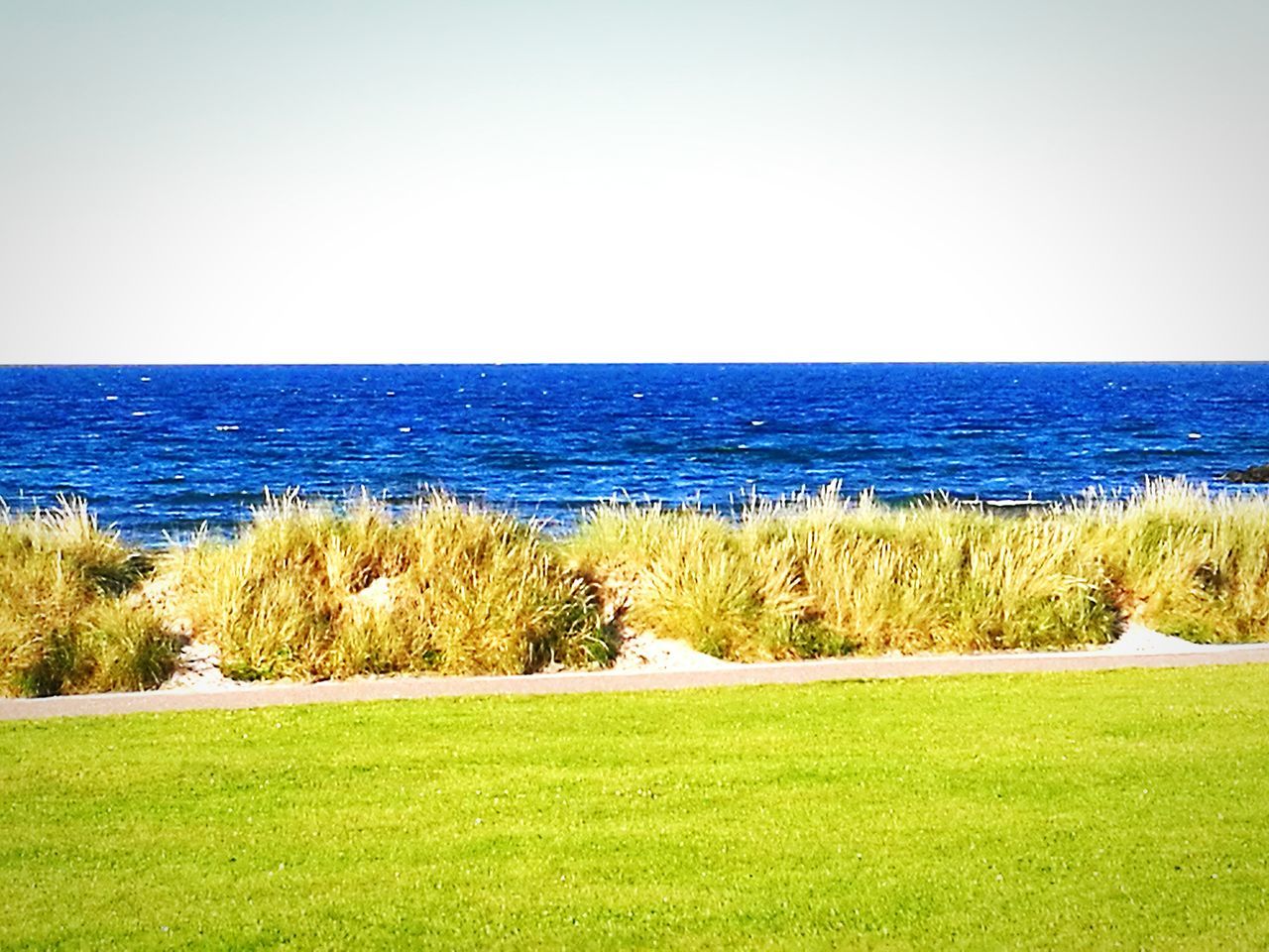 clear sky, grass, horizon over water, tranquil scene, sea, tranquility, scenics, beauty in nature, water, nature, blue, green color, field, landscape, grassy, growth, idyllic, green, day, plant, remote, outdoors, sky, non-urban scene, no people, non urban scene, horizon over land