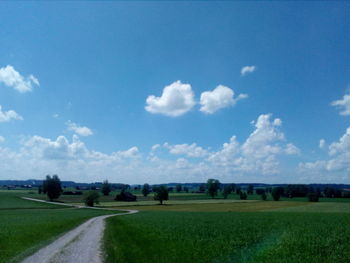 Scenic view of agricultural field against sky