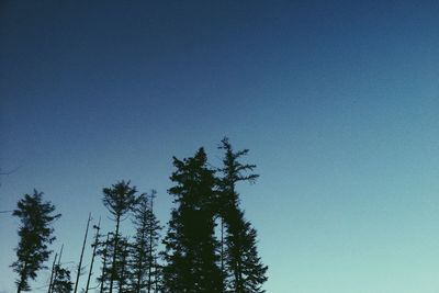 Low angle view of trees against clear blue sky