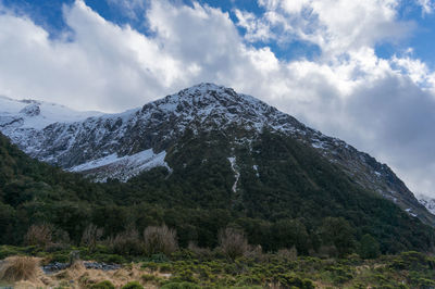 Nature landscape with snowcapped mountain and green forest. fiordland national park, new zealand