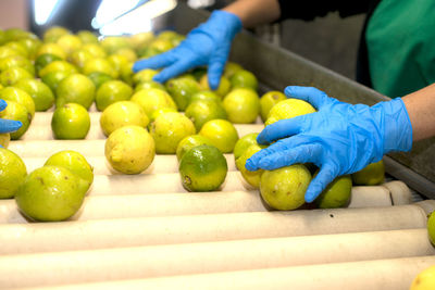 Close-up of hand holding fruits